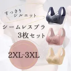 美胸 3枚セット 2XL~3XL 着痩せ ナイトブラ シームレス