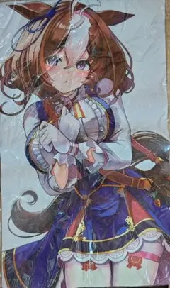 α1 ウマ娘 白背景&勝負服 メイショウドトウ スリーブ&プレイマット 71HZ0zHuVCL._UF350,350_QL50_.jpg