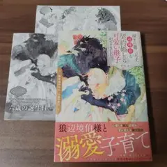 疎まれ第二王子、辺境伯と契約婚したら可愛い継子ができました BL小説
