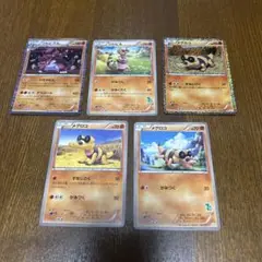 ポケモンカード　ワルビアルセット