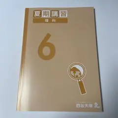 ②四谷大塚　夏期講習　理科6年　解答付き