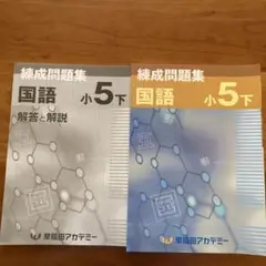 四谷大塚 予習シリーズ 小5 上巻 早稲田アカデミー 練成問題集まとめ売り 四谷大塚 予習シリーズ 、早稲田アカデミー問題集4年 2022年度版