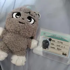 aespa カリナ #potd ぬいぐるみ トレカ 未開封品 aespa potd カリナ ぬいぐるみ トレカ 公式