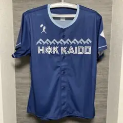 WE LOVE HOKKAIDO レプリカユニフォーム 無地 Mサイズ