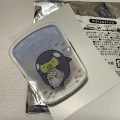 すみっコぐらし水族館　アクリルバッジ　ぺんぎん？2025