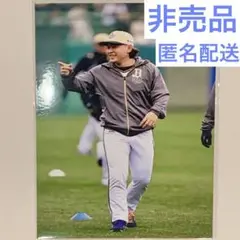 宮城大弥 オリジナル写真① 2025年 オリックス・バファローズ