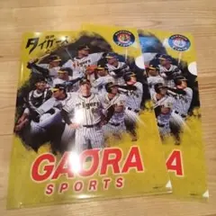GAORA SPORTS 阪神タイガース クリアファイル 2枚セット