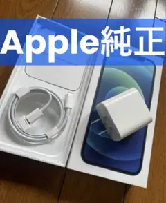 Item thumbnail for item a0501391-3367-4821-b81e-74261ea2a1e4