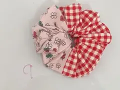 シュシュ [9]