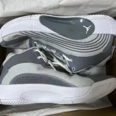 Jordan jumpman 2021 pf