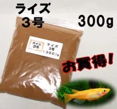めだか の 餌 エサ◇ライズ3号 300g◇メダカ の えさ☆ 愛好家御用達③