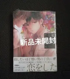 愛というなまえ