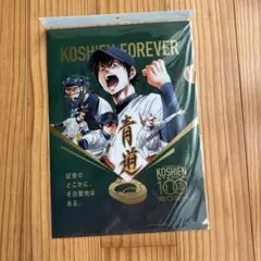 甲子園球場100周年 ダイヤのエースコラボ クリアファイル