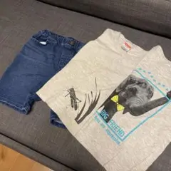 ユニクロ　象のTシャツとデニムショーツセット