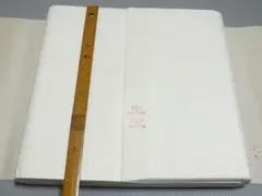 Item thumbnail for item 7f0c88ef-9a2f-4693-819f-d4149e4c780c