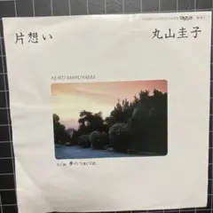 丸山圭子「片想い」「夢のつれづれ」7㌅ EP レコード 浜田省吾