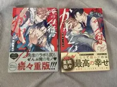 BL漫画まとめ売り可能