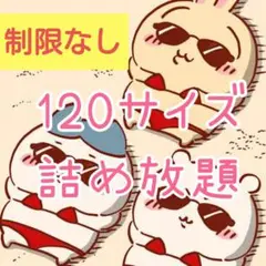 詰め放題　【120サイズ】　①