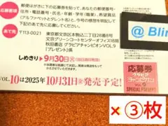 【応募券 × ③枚】グラビアチャンピオン vol.9★抽選 プレゼント★懸賞★
