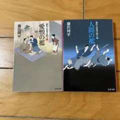愛憎の檻 獄医立花登手控え(三)(四)