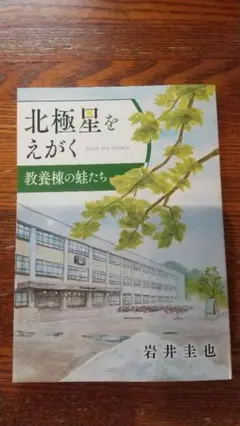 北極星をえがく 岩井圭也著