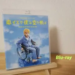 24HOUR TELEVISION ドラマスペシャル2012 車イスで僕は空を…