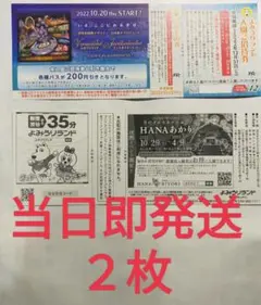 よみうりランド 入園券 チケット 2枚 16:30まで購入 当日即発送します