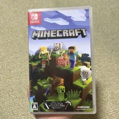 Minecraft Nintendo Switch