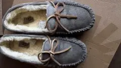 Item thumbnail for item f385734c-ca72-4cef-8ca1-502a5e6187ef