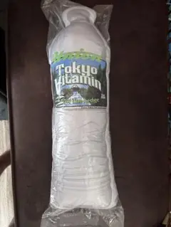 Tokyo vitamin クッション