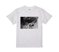 レア　新品未開封　完売品　カネコアヤノ　フォト　Tシャツ　XL