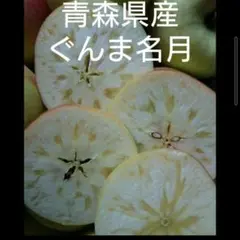 5キロぐんま名月家庭用
