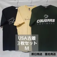 USA古着 3枚セット Mサイズ Tシャツ 90s　ユニセックス