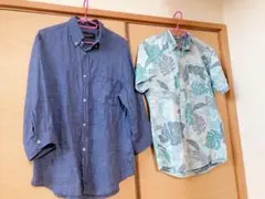 ジャーナルスタンダード　シャツ2点セット