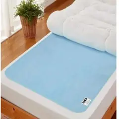 アストロ　 除湿シート シングル 　ブルー 吸湿 防ダニ ドライクリーニング可