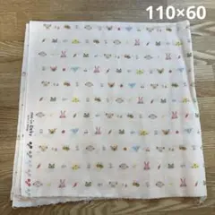 Item thumbnail for item c62d611f-ce90-4347-be04-8d0fb03178a1