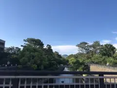返金代