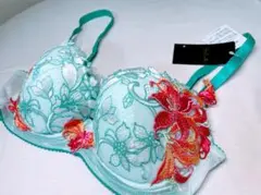 サルート　ブラジャー　53グループ　水色　Wacoal