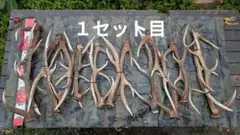 鹿の角35〜37本セット