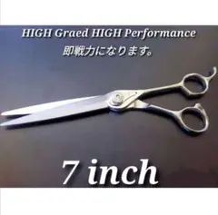 Item thumbnail for item 15fc7512-7a72-4486-b3f6-bff97762361a
