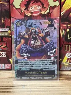 マーシャル・D・ティーチ　コミパラ　鑑賞展示用