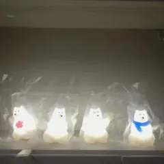 polar bear bank ポーラーベアバンク ぼんやりライト　コンプリート