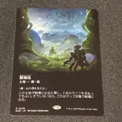 繁殖池　ボーダーレス