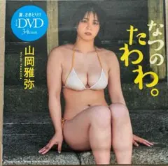 【未開封】雑誌　付録 DVD 山岡雅弥　週刊プレイボーイ