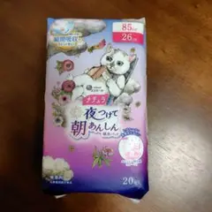 Item thumbnail for item 55beb402-4985-40d0-ba2a-4df0a0ada1f5