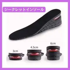 ▲シークレットインソール 中敷き 調節可能 黒 エアインソール インソール