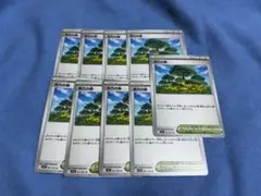 活力の森u 4枚