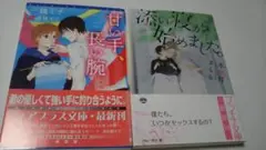 一穂ミチ　水無月さらら　ＢＬ小説　2冊セット