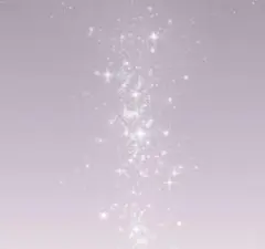♡専用♡