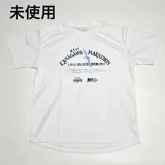 Item thumbnail for item 4a5fdb3f-1742-4ef3-824a-326ebd5563a7